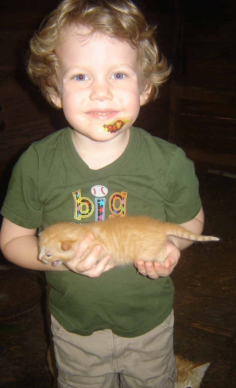 Alastair and tiny Rusty kitten